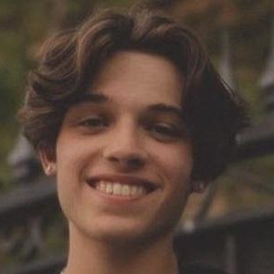 sturniolo-matthew-image.jpg